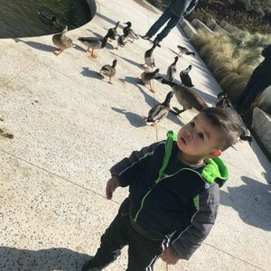 Meet your Posher, Roxana